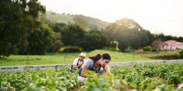 Mixed Agribusiness Development Cooperative (Comdeagro)