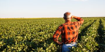 Dicamba-Resistant-Soybean