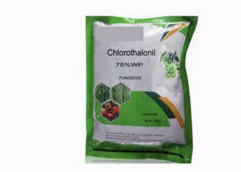 Chlorothaloni