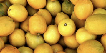 Yellow Citrus