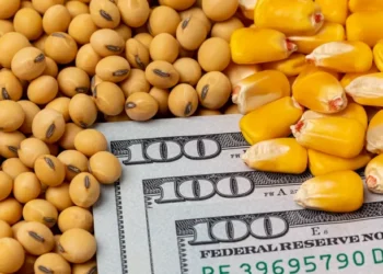 brazil soybean and corn