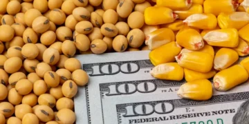 brazil soybean and corn