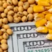 brazil soybean and corn