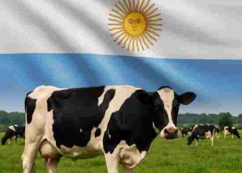 Argentina Dairy Output