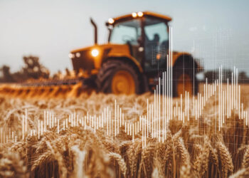 China’s Agricultural Outlook for 2024/2025: Key Trends and Global Impacts