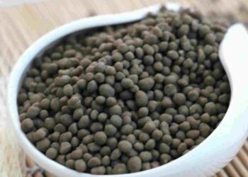 Diammonium Phosphate (DAP)