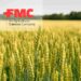 FMC Corporation, Fidresa fungicide, fluindapyr, Argentina cereal crops, SDHI fungicides, tan spot control