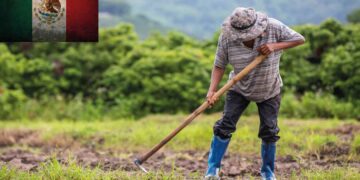 mexico-sustainable-corn-bean-production-initiative-news