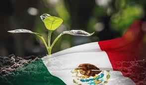 Mexico Bioinputs Market Surges