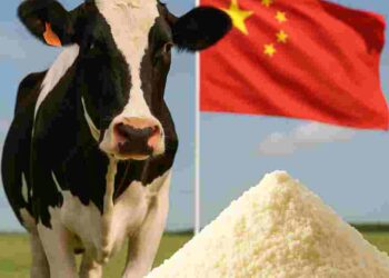 Milk-china-Food-and-Feed-dairy-industry