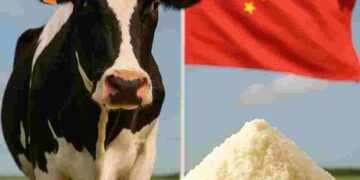 Milk-china-Food-and-Feed-dairy-industry