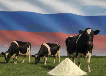 Russia-dairy-industry-Milk-chese-dry-milk