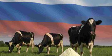 Russia-dairy-industry-Milk-chese-dry-milk