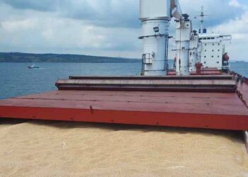 Ukraine Agricultural shippment