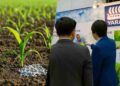 Yara-exports-nitrogen-fertilizers-crop-fertilizer-industry-news-Ammonia-fertilizer-market-trends