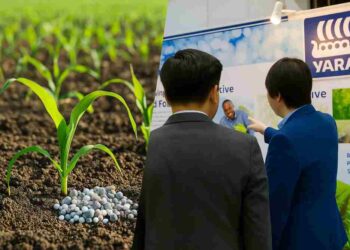 Yara-exports-nitrogen-fertilizers-crop-fertilizer-industry-news-Ammonia-fertilizer-market-trends