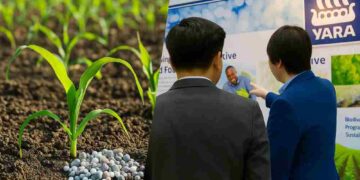 Yara-exports-nitrogen-fertilizers-crop-fertilizer-industry-news-Ammonia-fertilizer-market-trends