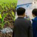 Yara-exports-nitrogen-fertilizers-crop-fertilizer-industry-news-Ammonia-fertilizer-market-trends
