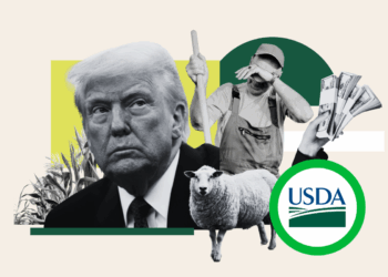 Trump Funding Freeze Disrupts US Agricultural Research