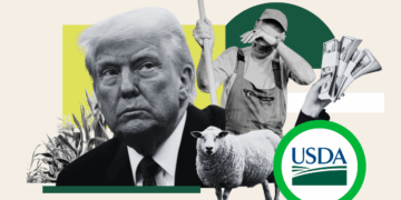 Trump Funding Freeze Disrupts US Agricultural Research