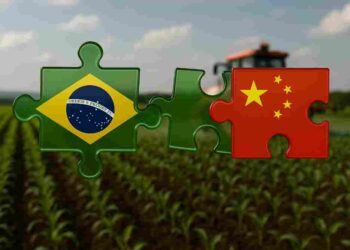 China-brazil-news-pesticides-agrochemicals china informatics
