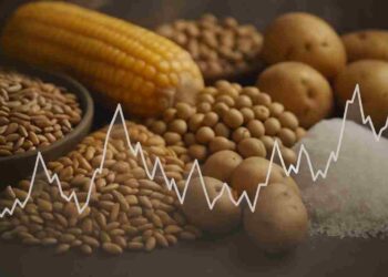 Commodity prices supply-chain-prices-export