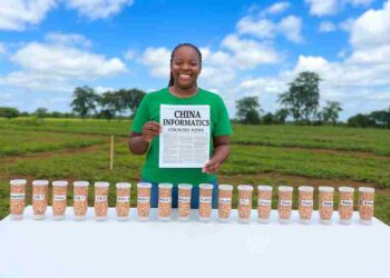 ICRISAT and Malawi Government Release Climate-Resilient Groundnut Variety CG18 for Commercialization