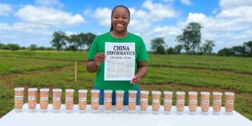 ICRISAT and Malawi Government Release Climate-Resilient Groundnut Variety CG18 for Commercialization