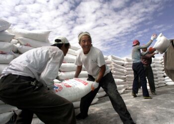 China’s Fertiliser Market Stabilises Ahead of 2026 Spring Planting Season