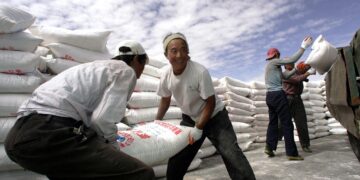 China’s Fertiliser Market Stabilises Ahead of 2026 Spring Planting Season